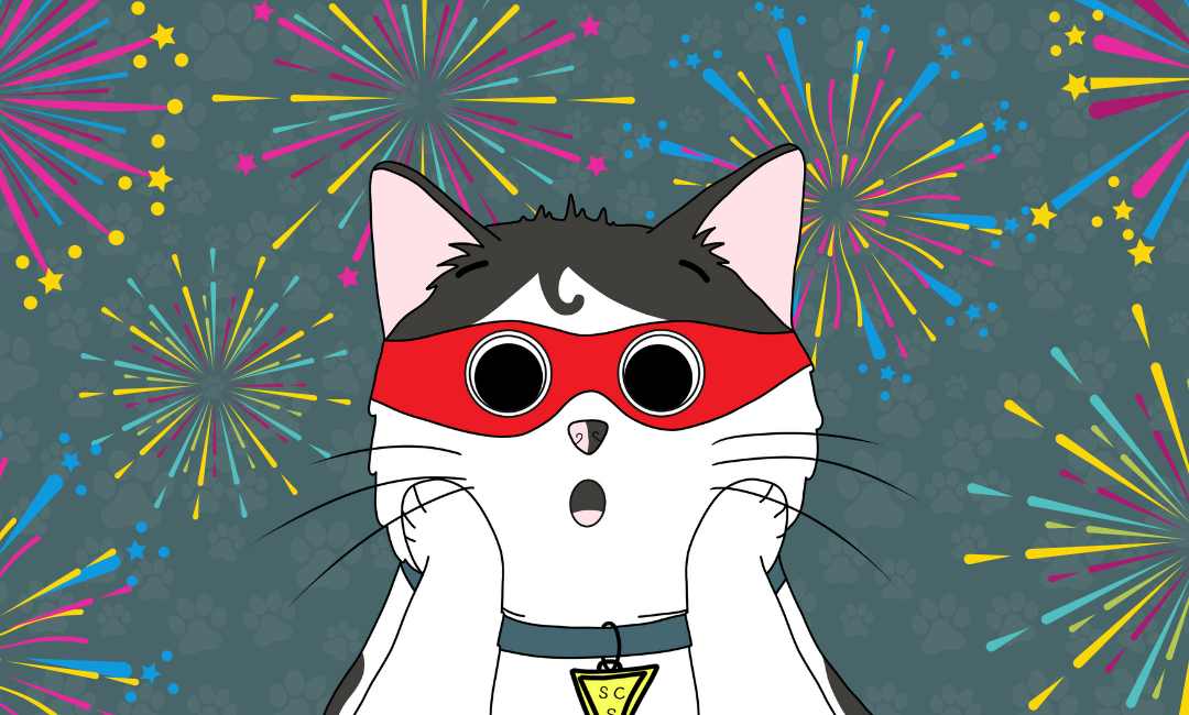 Keep Your Cats Feline Relaxed this Fireworks Season