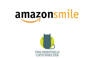 Supporting The Sheffield Cats Shelter With Amazon Smile