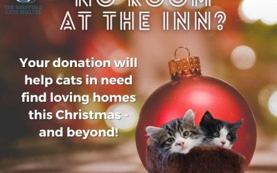 Support Our Christmas Campaign