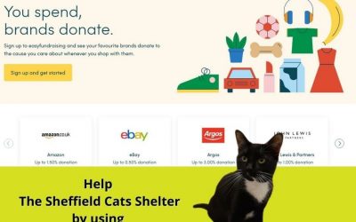 Support Our Cats With Easyfundraising.org.uk