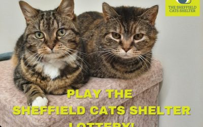 The Sheffield Cats Shelter Mobile Lottery