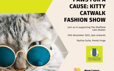 Our Charity Fashion Show