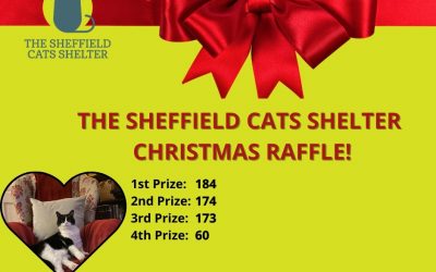 The Sheffield Cats Shelter Christmas Raffle