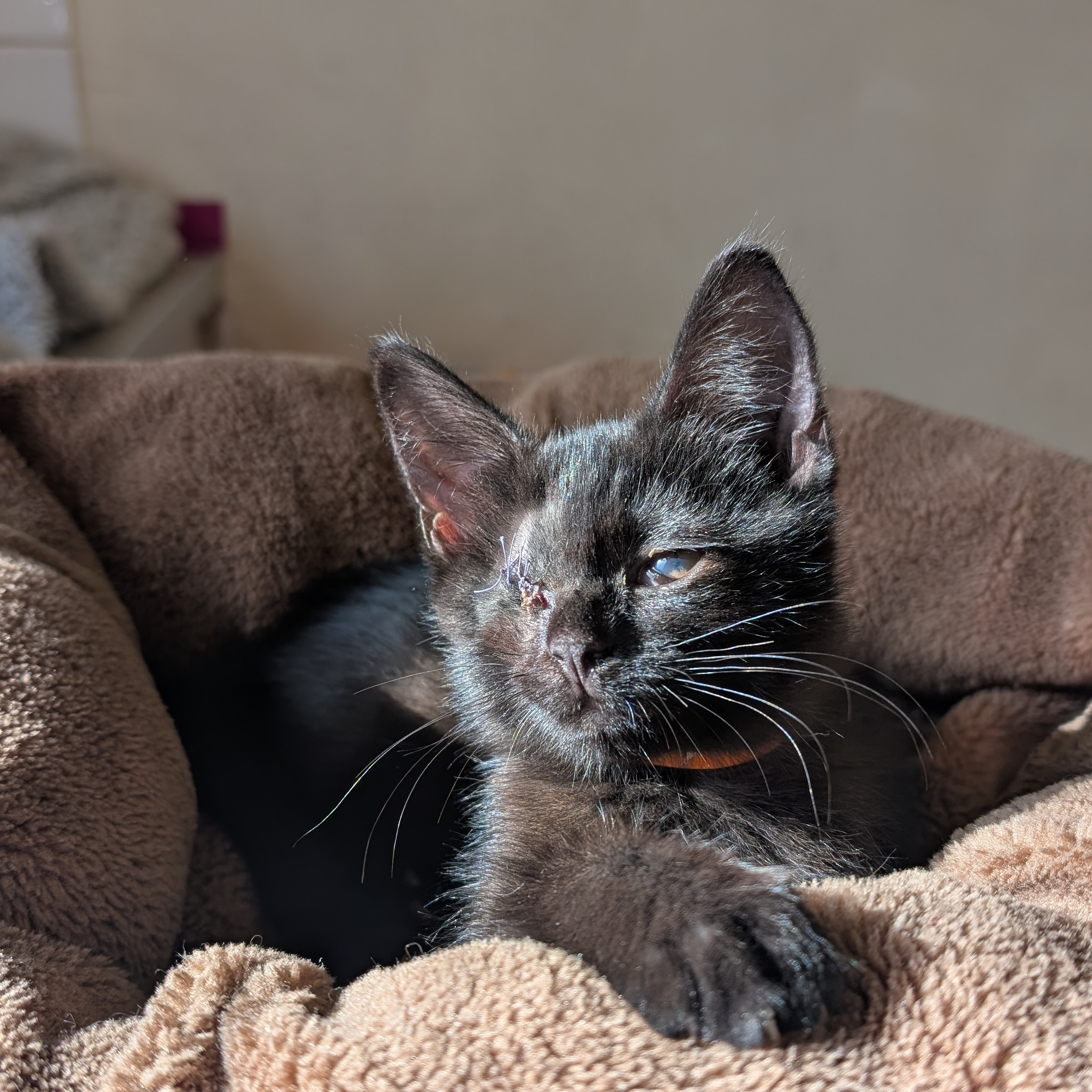 PXL_20251006_094404624