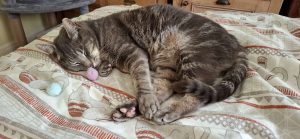 Marley