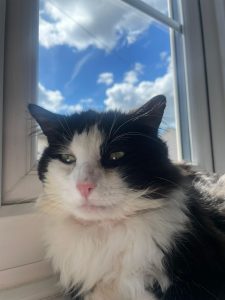 Isaac