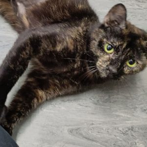 Delilah