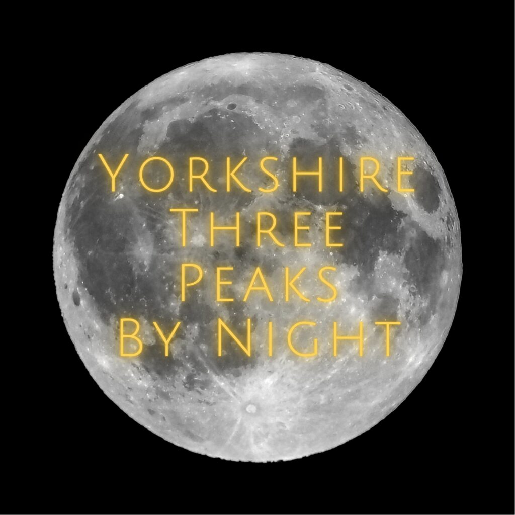 Y3P by night